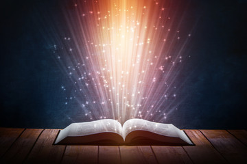 俄罗斯怎么可能有桉树