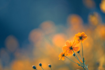 中国各个朝代顺序表