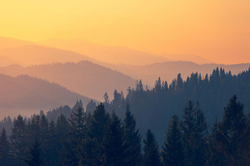 外国是怎么过清明节的？