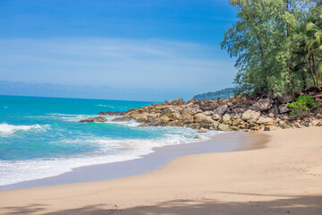 玄学都包括什么-