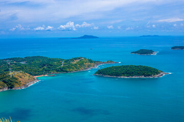 俄罗斯怎么可能有桉树