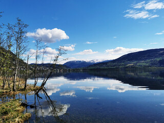 植物堆起来发热的原因
