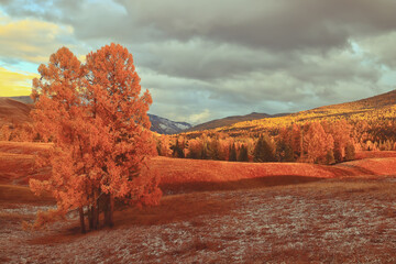 三峡指的是哪三峡？
