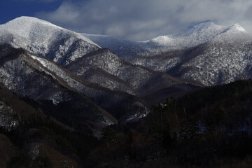 小驳骨有什么功效？
