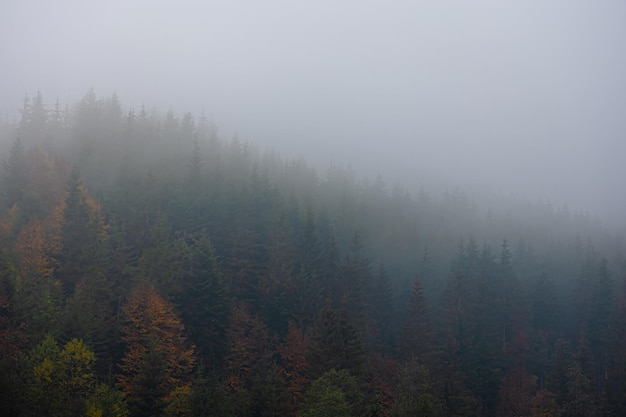 三峡指的是哪三峡？