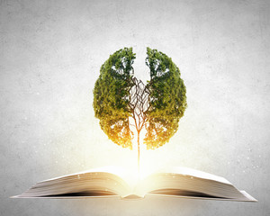 三峡指的是哪三峡？