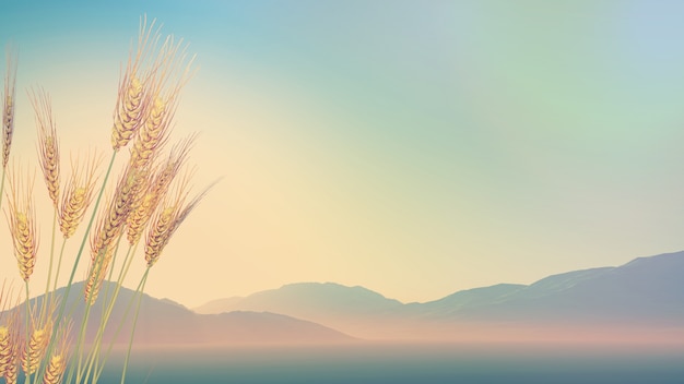 医院活动策划方案