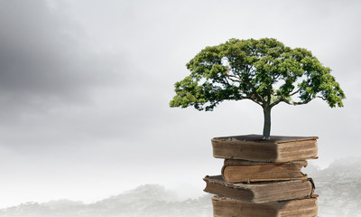 医院活动策划方案