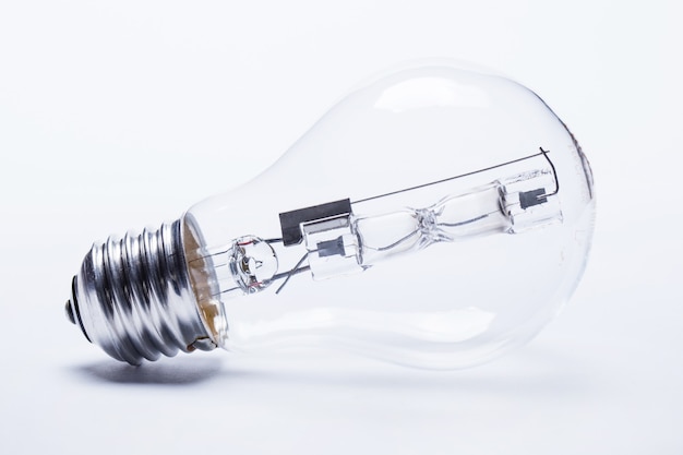 俄罗斯怎么可能有桉树