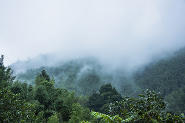 轩逸可以改电动折叠后视镜吗